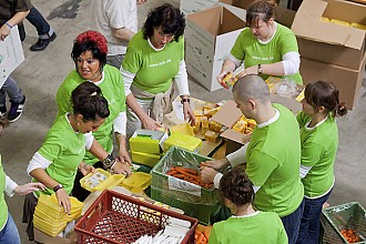 Berlin Brandenburg 2011