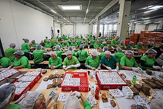 Berlin Brandenburg 2015